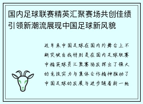 国内足球联赛精英汇聚赛场共创佳绩引领新潮流展现中国足球新风貌