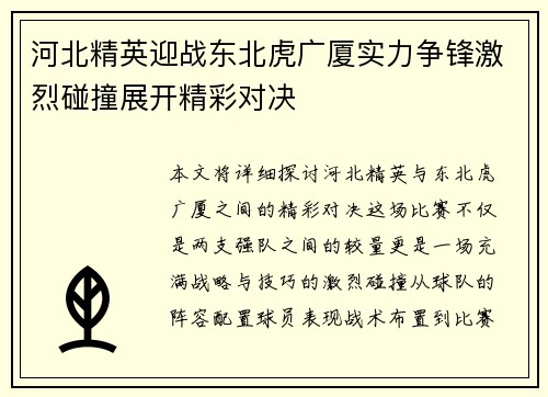 河北精英迎战东北虎广厦实力争锋激烈碰撞展开精彩对决