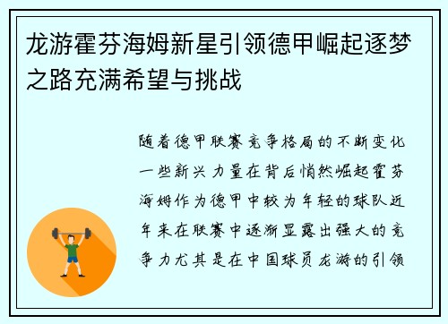 龙游霍芬海姆新星引领德甲崛起逐梦之路充满希望与挑战