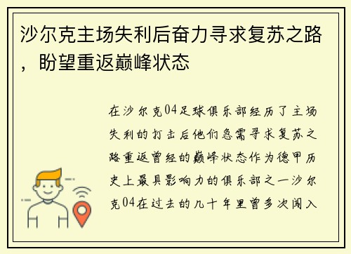 沙尔克主场失利后奋力寻求复苏之路，盼望重返巅峰状态