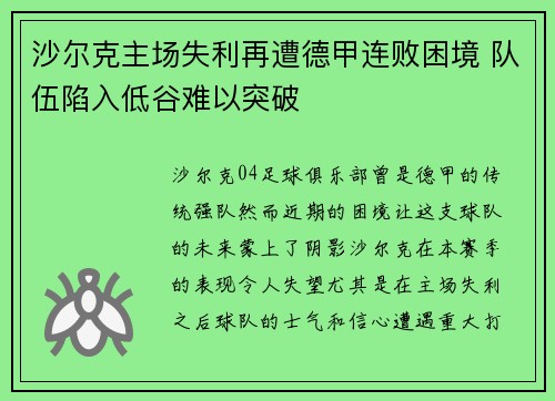 沙尔克主场失利再遭德甲连败困境 队伍陷入低谷难以突破